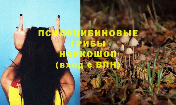 гидропоника Нижневартовск