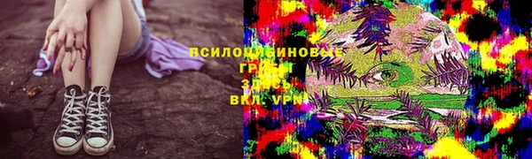 спиды Кострома