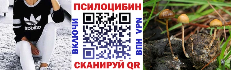 Псилоцибиновые грибы MAGIC MUSHROOMS Артём