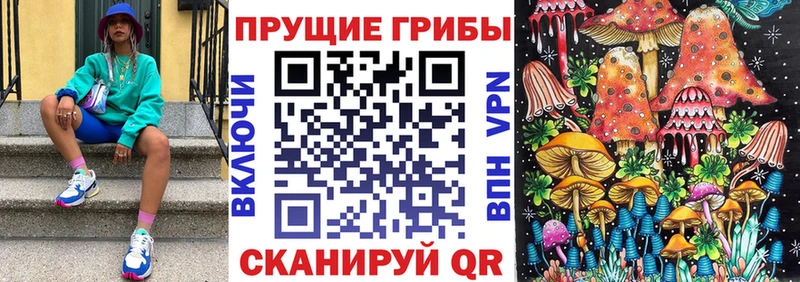 Псилоцибиновые грибы Cubensis  наркотики  Артём 
